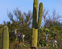 photo thumbnail #6