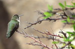 photo thumbnail #6