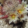 photo thumbnail #13