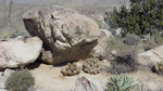 photo thumbnail #14