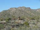 photo thumbnail #4