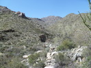 photo thumbnail #7