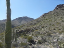 photo thumbnail #8