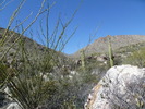 photo thumbnail #9