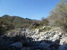 photo thumbnail #10