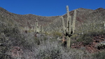 photo thumbnail #5