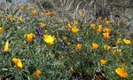 photo thumbnail #7
