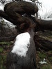 photo thumbnail #6