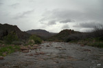 photo thumbnail #13