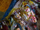 photo thumbnail #13