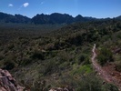 photo thumbnail #1