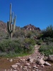 photo thumbnail #2