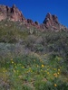 photo thumbnail #6