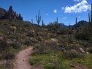 photo thumbnail #4