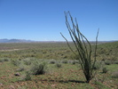 photo thumbnail #15