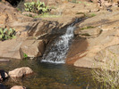 photo thumbnail #15