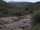 photo thumbnail #1