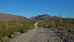 photo thumbnail #1