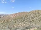 photo thumbnail #13