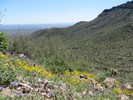 photo thumbnail #6
