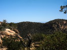 photo thumbnail #10