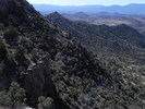 photo thumbnail #2
