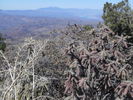 photo thumbnail #6