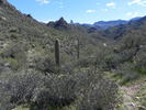 photo thumbnail #9