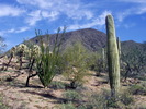 photo thumbnail #4