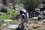 photo thumbnail #4