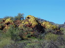 photo thumbnail #4