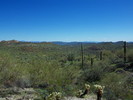 photo thumbnail #10