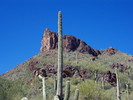 photo thumbnail #12