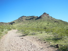 photo thumbnail #15