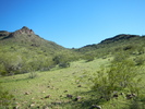 photo thumbnail #14