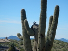 photo thumbnail #12