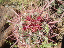 photo thumbnail #11