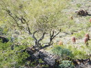 photo thumbnail #8