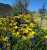 photo thumbnail #1