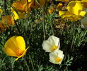 photo thumbnail #5