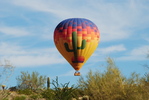 photo thumbnail #7
