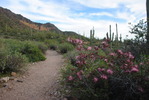 photo thumbnail #7
