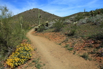 photo thumbnail #13