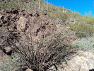 photo thumbnail #3