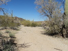 photo thumbnail #6