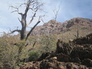 photo thumbnail #13