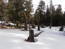 photo thumbnail #3