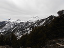 photo thumbnail #14