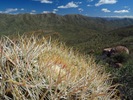 photo thumbnail #11