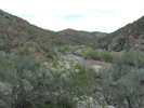photo thumbnail #7